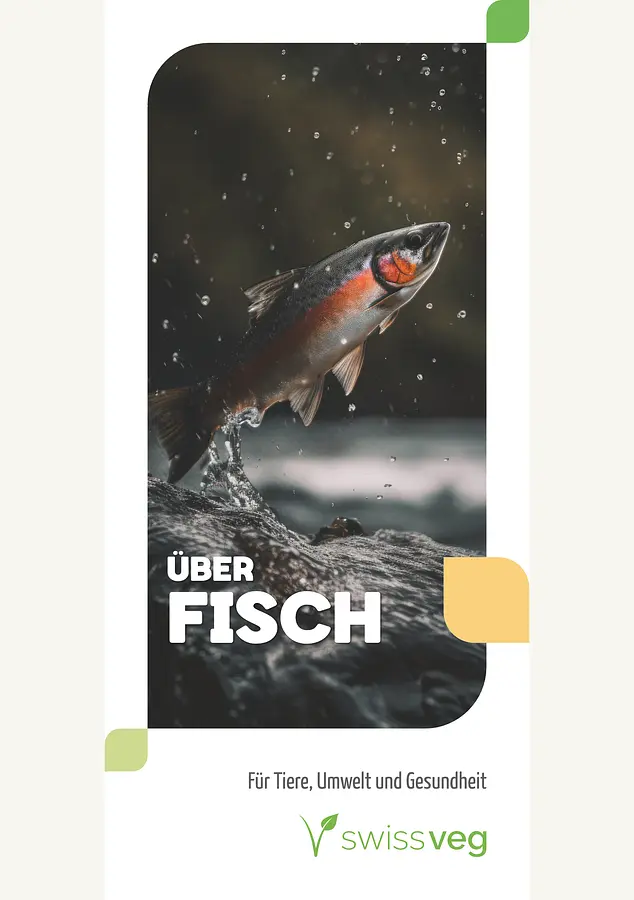 Faltblatt: Über Fisch