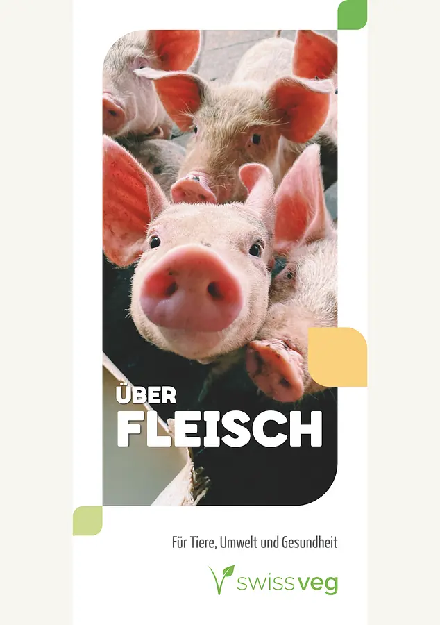 Faltblatt: Über Fleisch