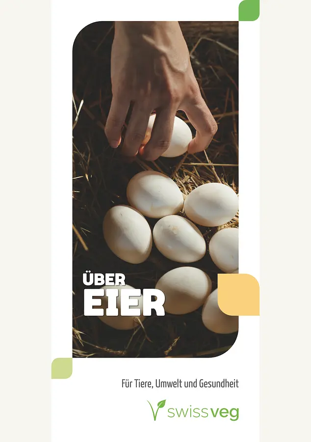 Faltblatt: Über Eier