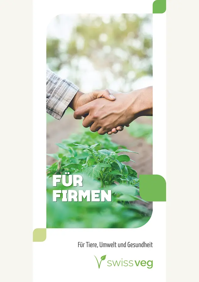 Faltblatt: Für Firmen