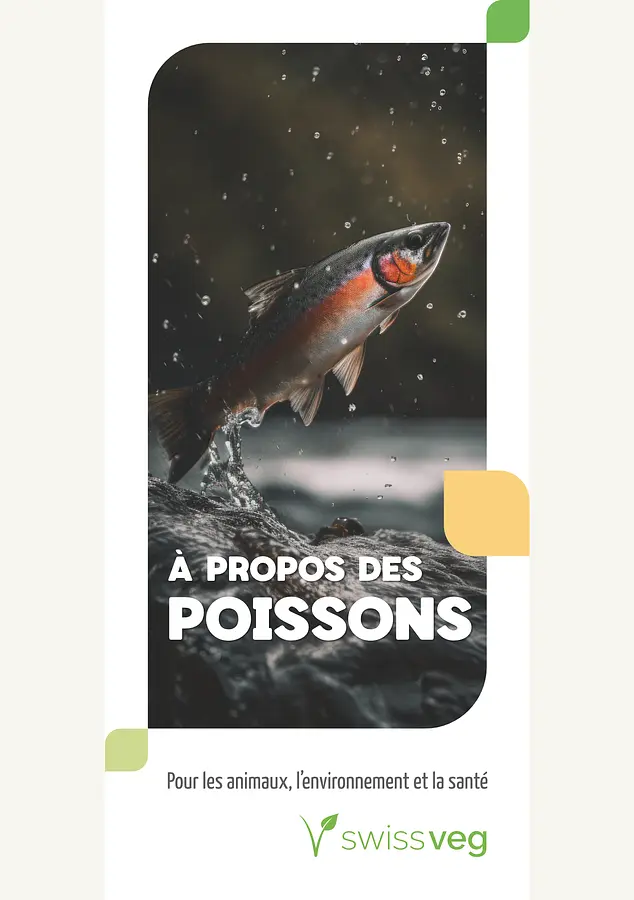 Dépliant: À Propos des Poissons