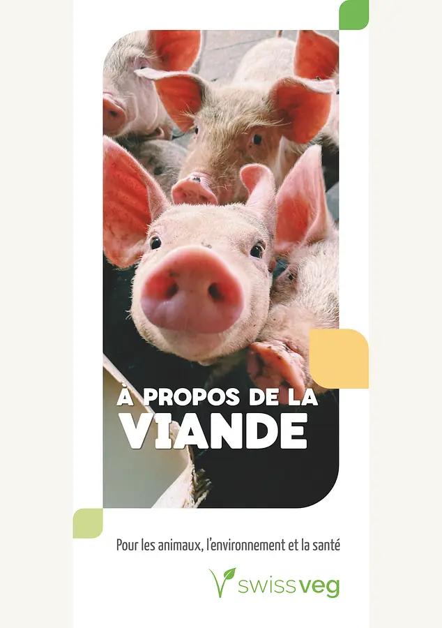 Dépliant: À Propos de la Viande