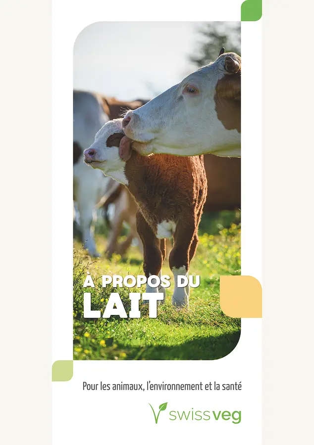 Dépliant: À Propos du Lait