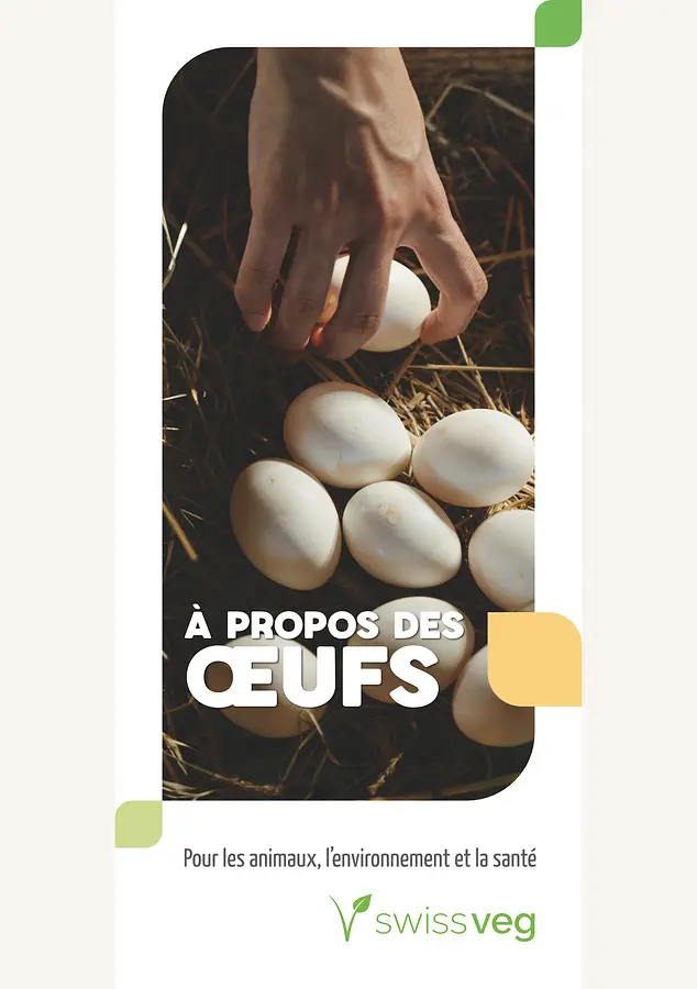 Dépliant: À Propos des Oeufs