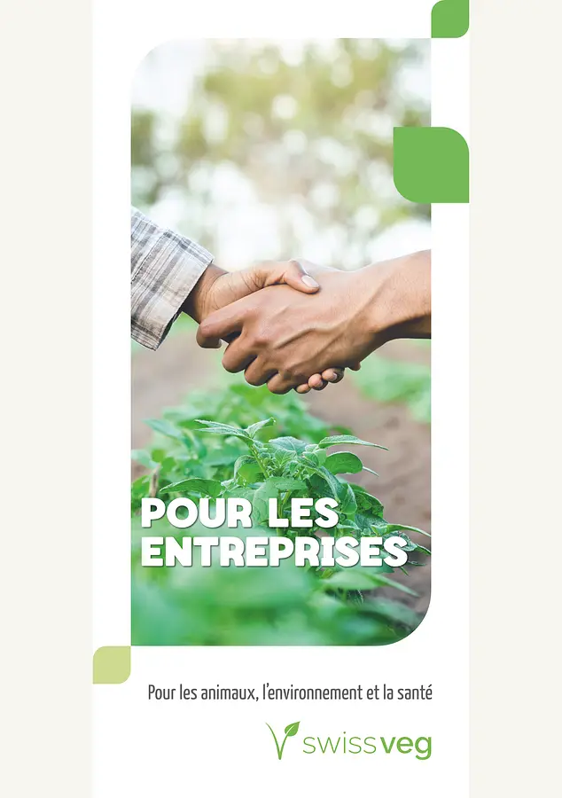 Dépliant: Pour les Entreprises