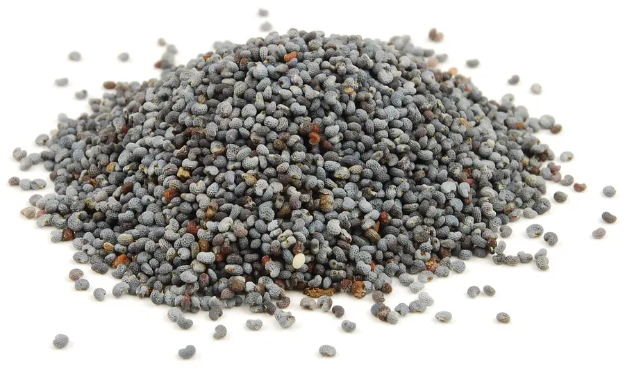 Poppy Seeds Blue Organic