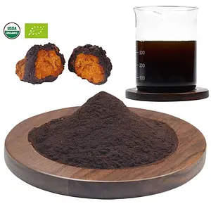 Chaga Powder from Mushroom Organic, 50 g