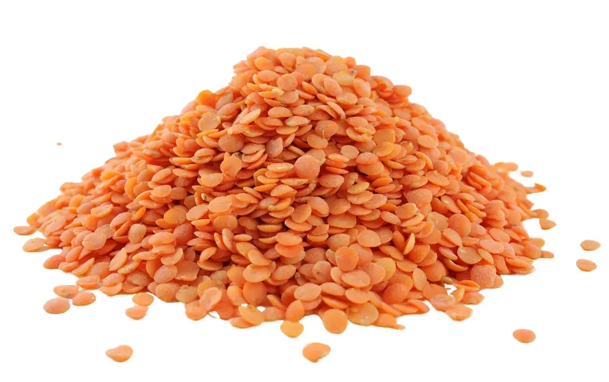 Lentils Red Bulk Buy Organic