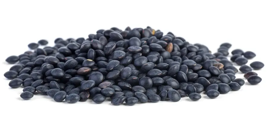 Linsen Beluga schwarz Grossgebinde Bio