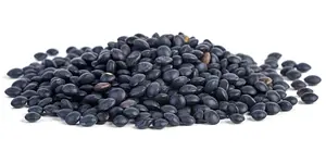 Linsen Beluga schwarz Grossgebinde Bio, 5 kg