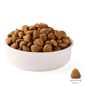 Yarrah Dog Dry Food Vegan Organic, 10 kg