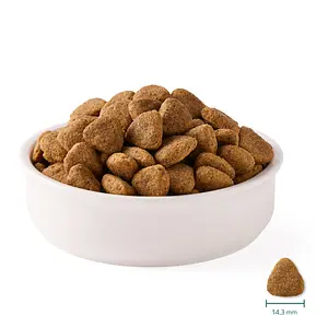 Yarrah Dog Dry Food Grain-Free Vegan Organic, 2 kg