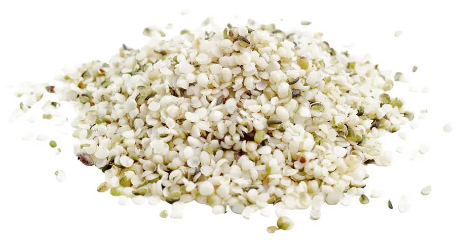 Biofarm Hanfsamen geschält Grossgebinde Bio