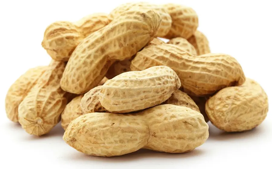 Roasted Peanuts Bulk Buy Organic