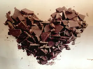 Lovechock Chocolat aux éclats de cacao RAW Bio, 40 g