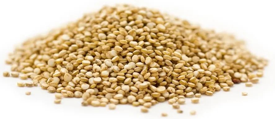 Quinoa Schweiz Grossgebinde BioSuisse