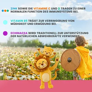 Spray buccal Immun Enfants avec échinacée + zinc et vitamines, 25 ml