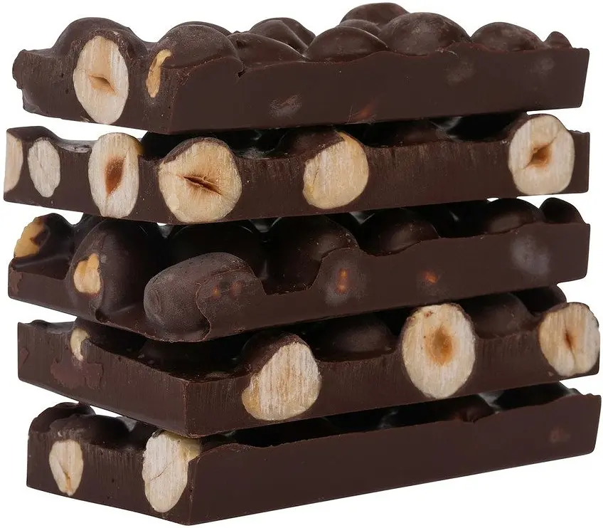 Dark Chocolate with Hazelnuts Organic