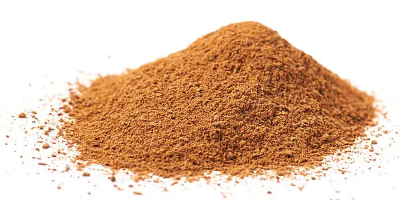 Lebkuchengewürz Grossgebinde Dose Bio