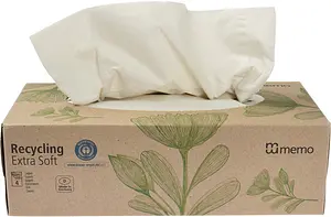 Tissues Recycling Extra Soft, 100 Sheets, 100 piece