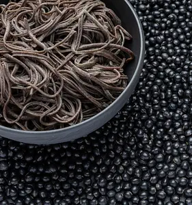 Black Bean Spaghetti Bio, 250 g