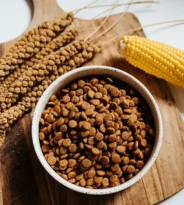 VEGDOG Trockenfutter Simply Crunch, 5 kg