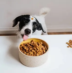 VEGDOG Trockenfutter Simply Crunch, 5 kg