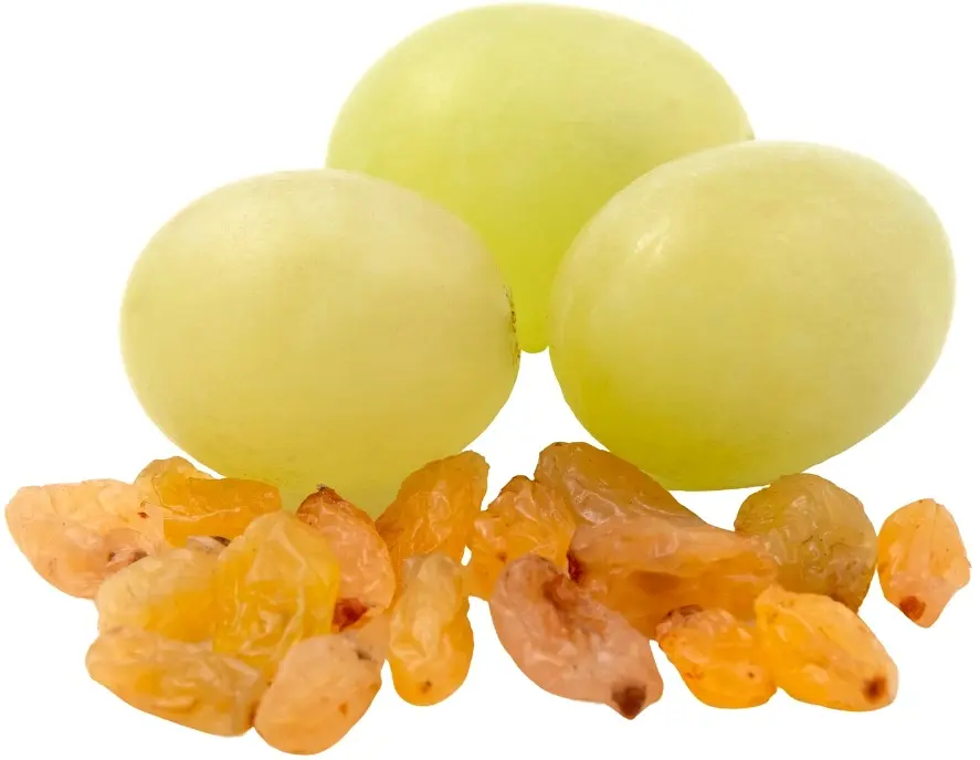 Sultanas light-colored Organic