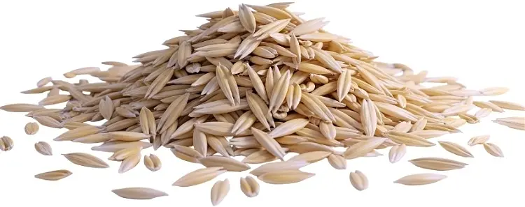 Rye Grains Swiss Organic