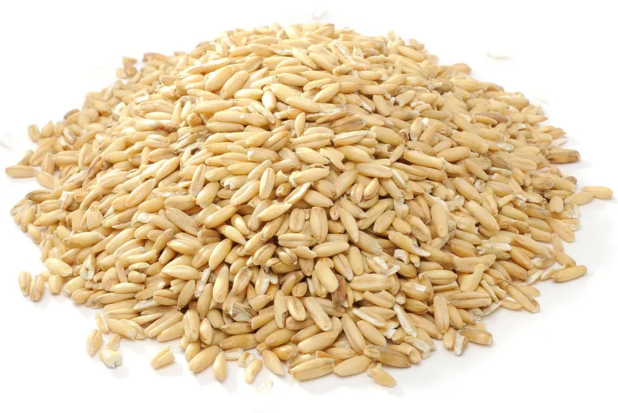 Oats Whole Grain Bulk Buy Organic