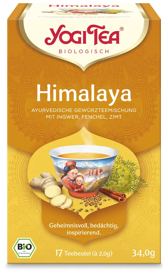 Himalaya Ginger Harmony Teebeutel Bio