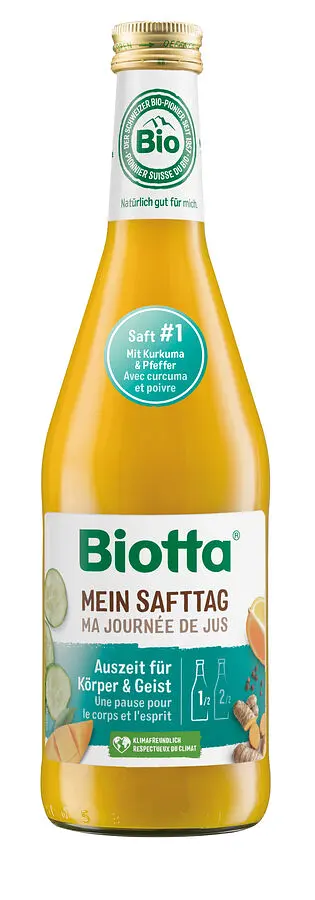 Mein Safttag 1 Mango Gurke Bio