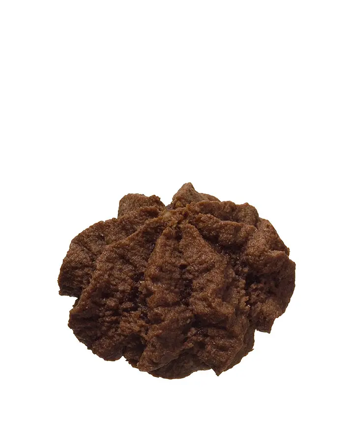 Schoggi Jumbo Bio